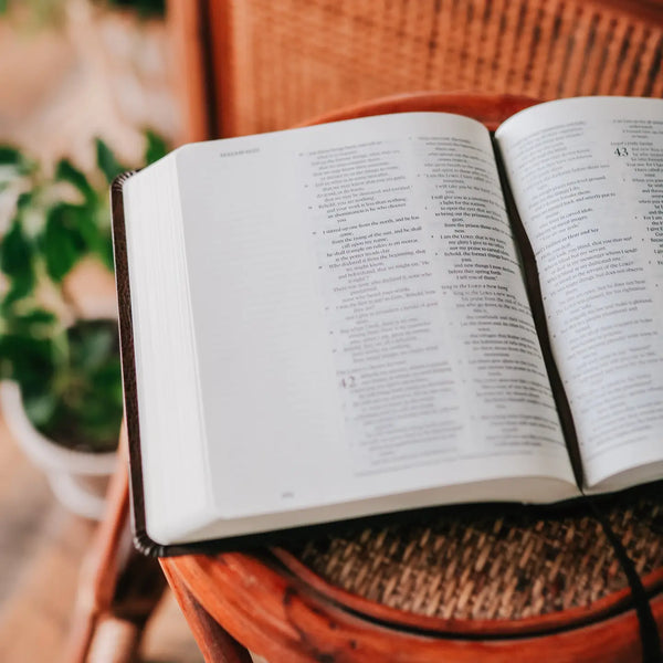 Esv Journaling Bible